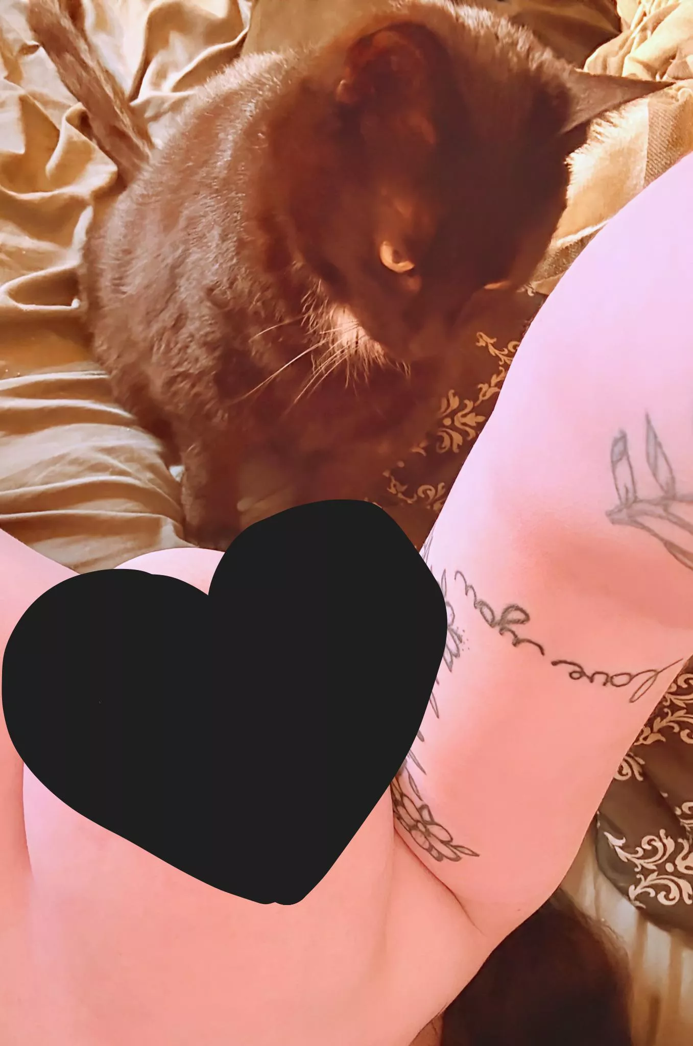 Kitty and a Titty 👀