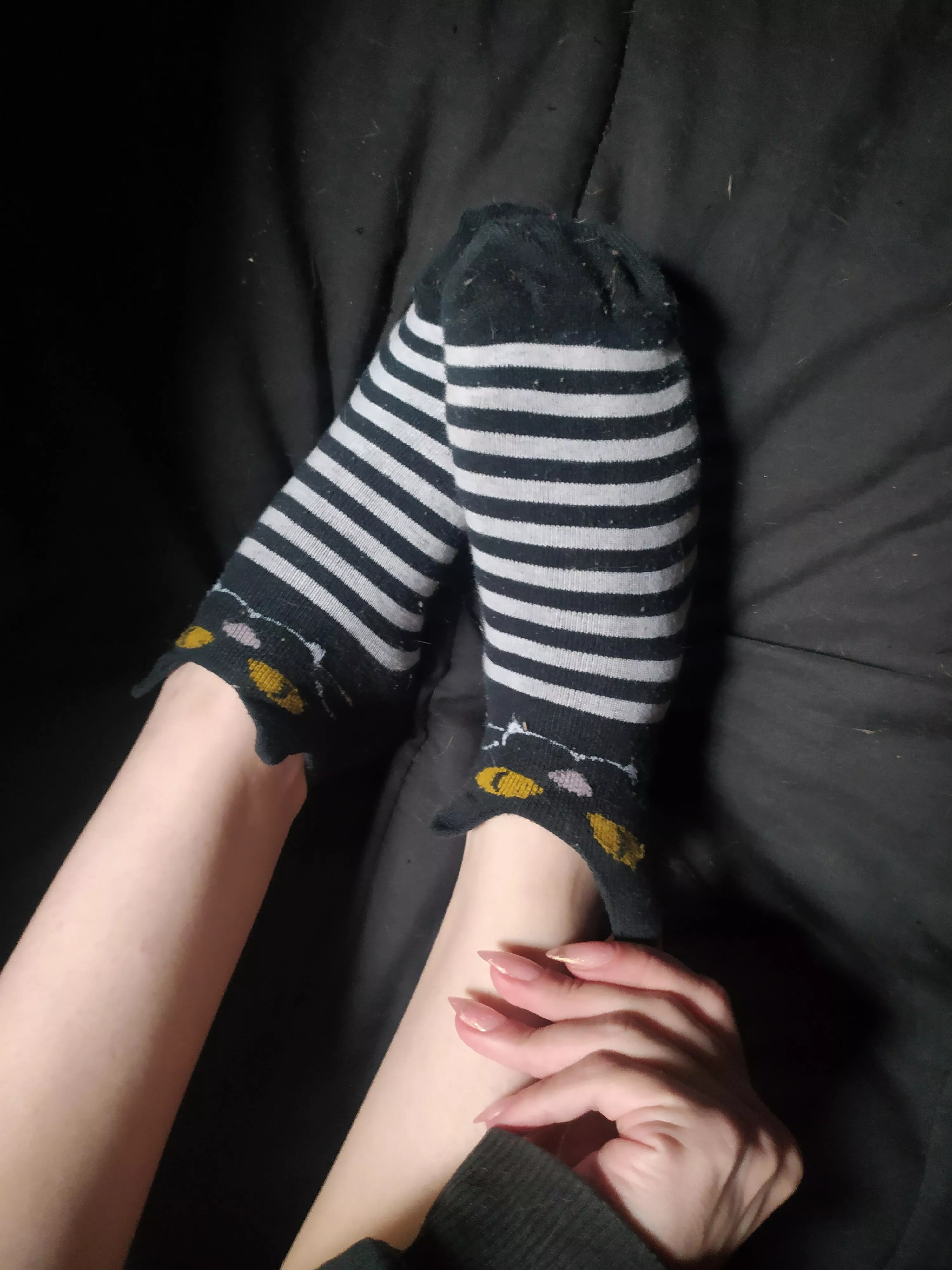 Kitty Socks <3