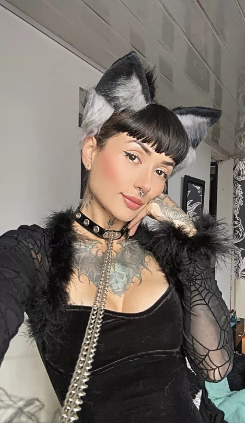 Let me be your pretty kitty