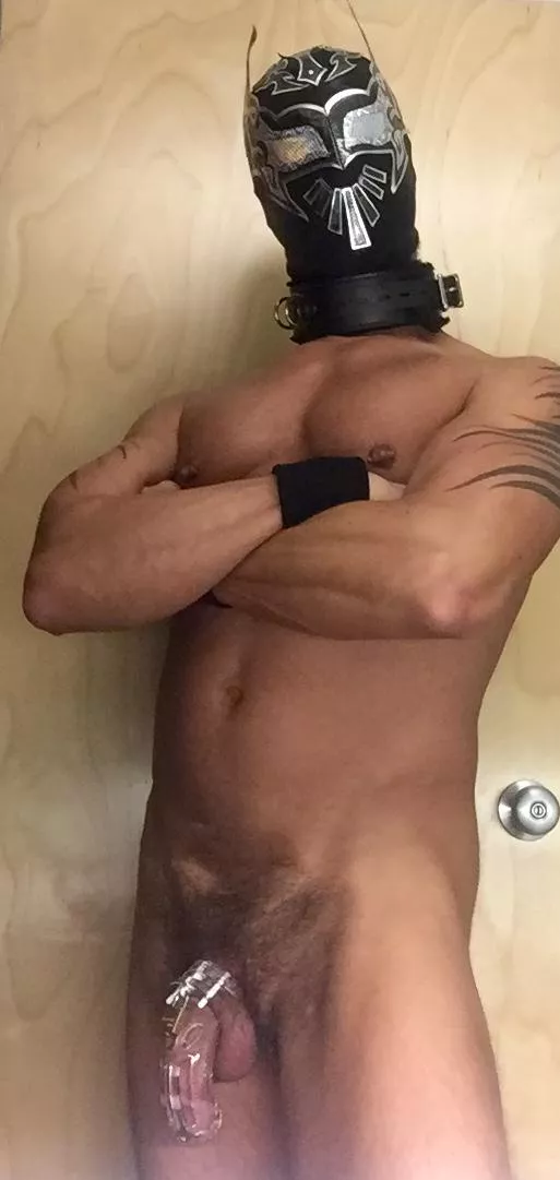 Let's Go To A Metal Show \w/