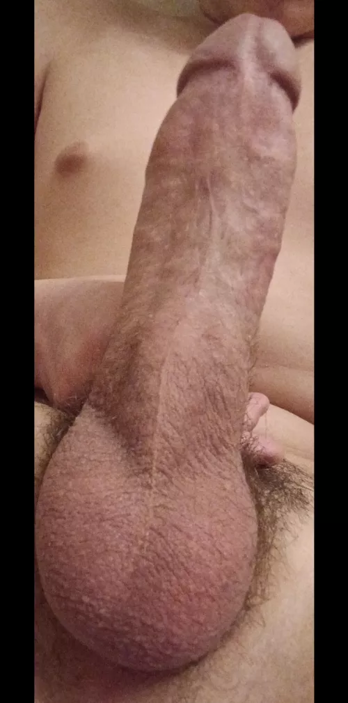 M4m m18 looking for fun
