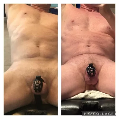 Old cage left, new cage right (60)