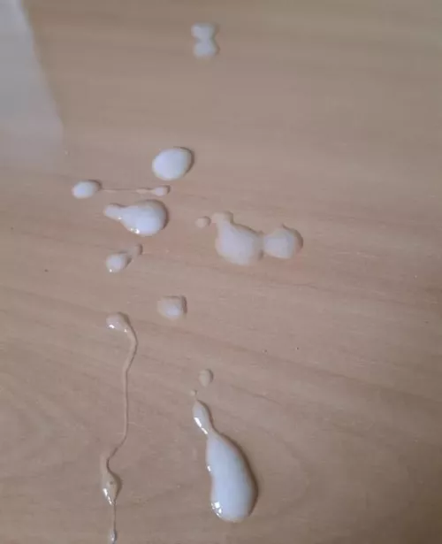 Open your mouth and lick it, I have your reward, you were a good boy