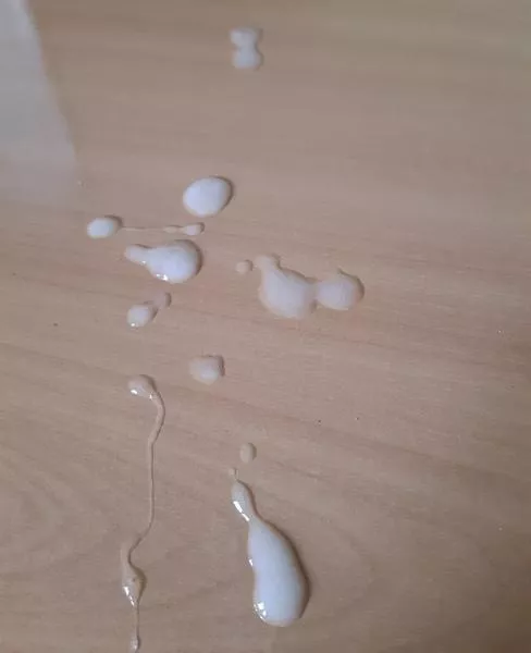 Open your mouth and lick it, I have your reward, you were a good boy