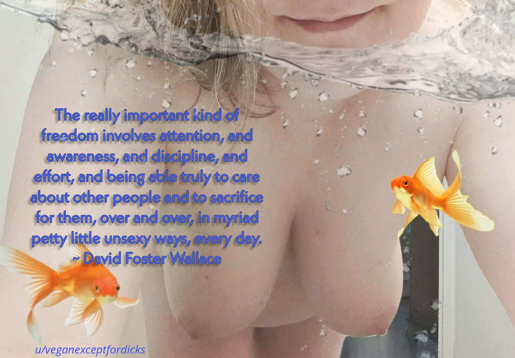 Perv-a-Thon 2024 -- This is Water