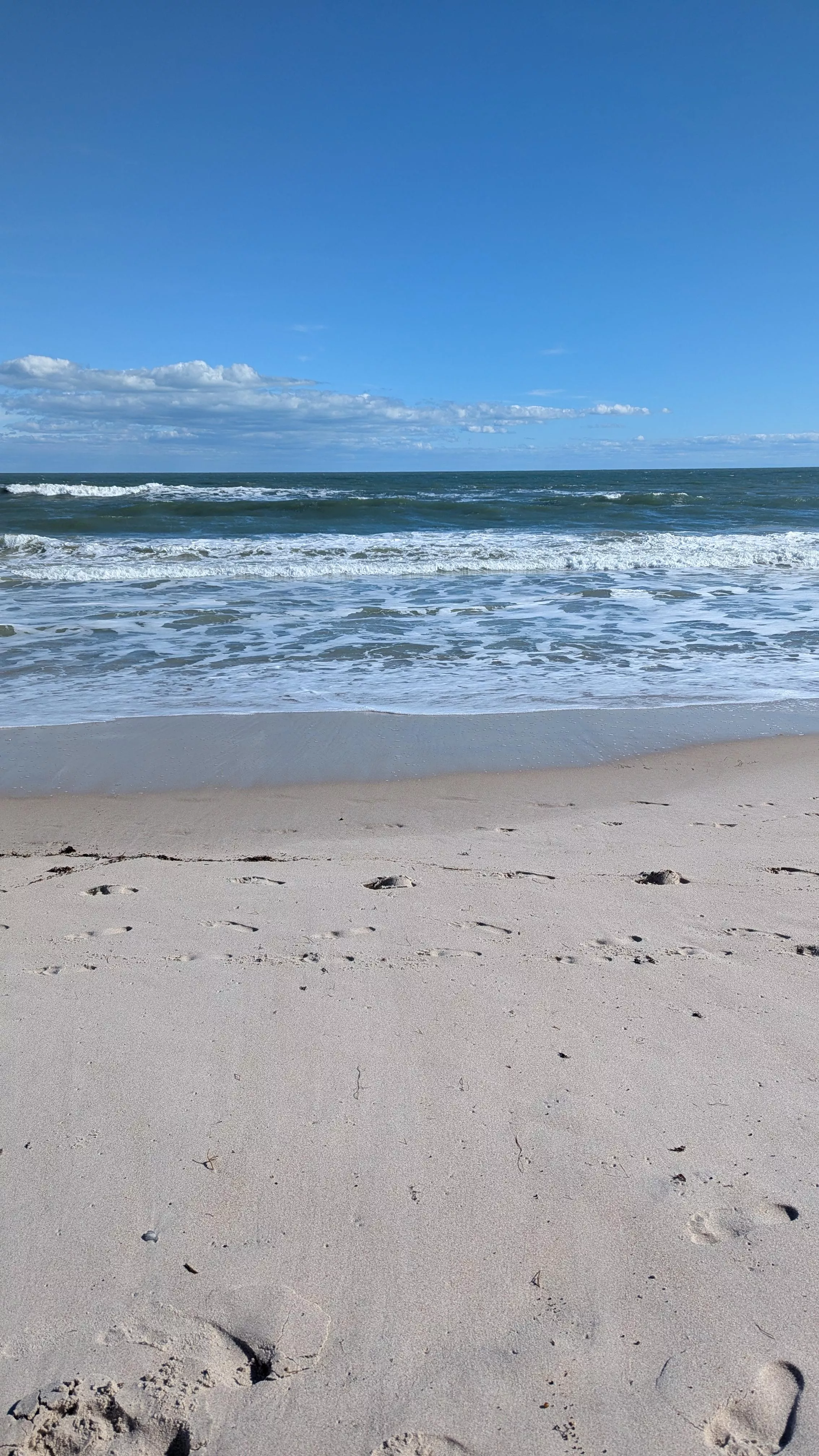 Playalinda Today – Great Time, but a Few Observations...