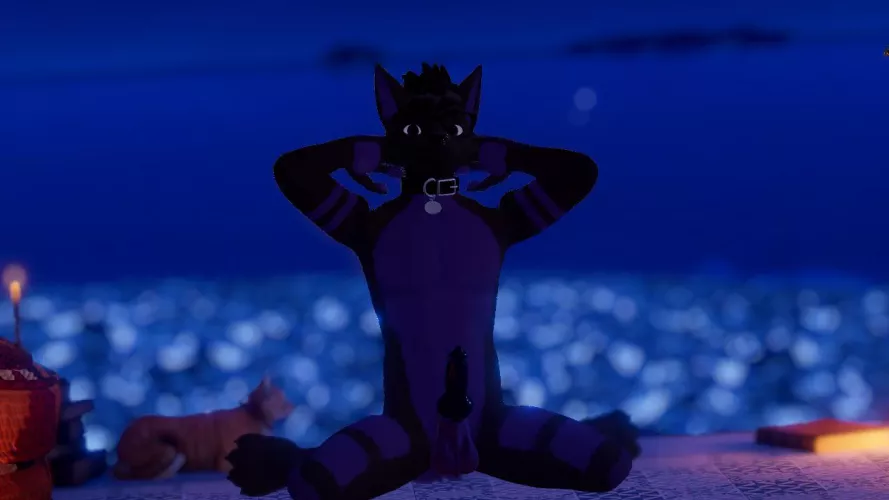 Pup is in the mood for a small top~