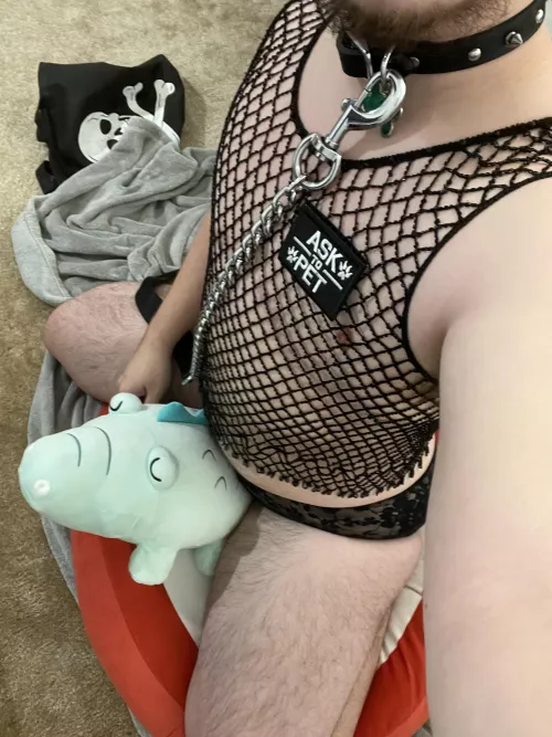Puppy needs to hump (ftm)