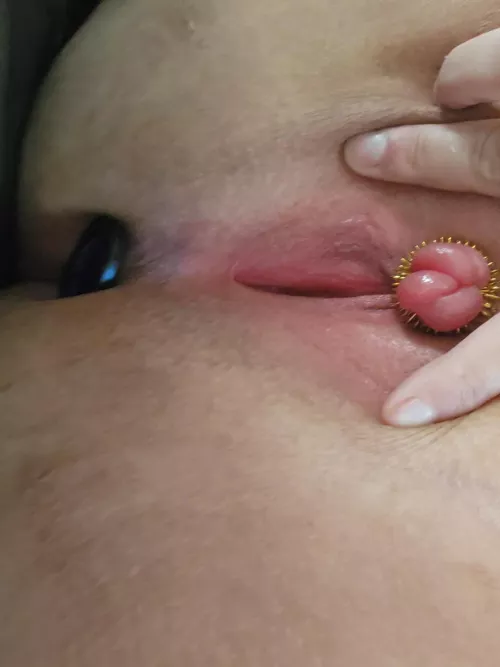 Putting a metal sensory ring on my swollen clit so it can be poked and scraped relentlessly~ 