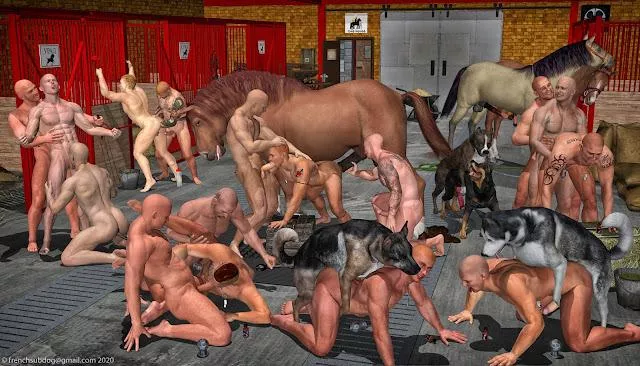 Saturday Night Party. 