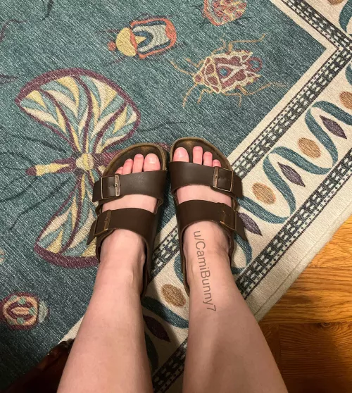 [seller] wore my well loved birks one more time around the house before retiring them for the winter 🩵