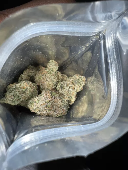 SM pinks runtz first impressions 🤔