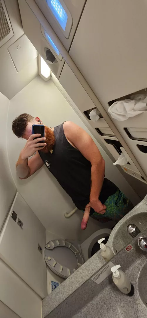 Snake on a plane 😄