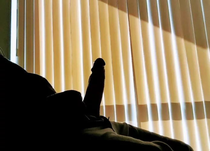 Southeast Michigan Females