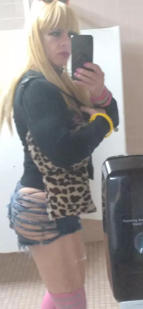 Tame dis cougar Tuesday 