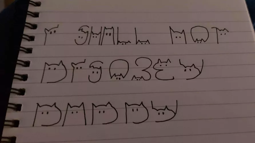 thank you for playing brat