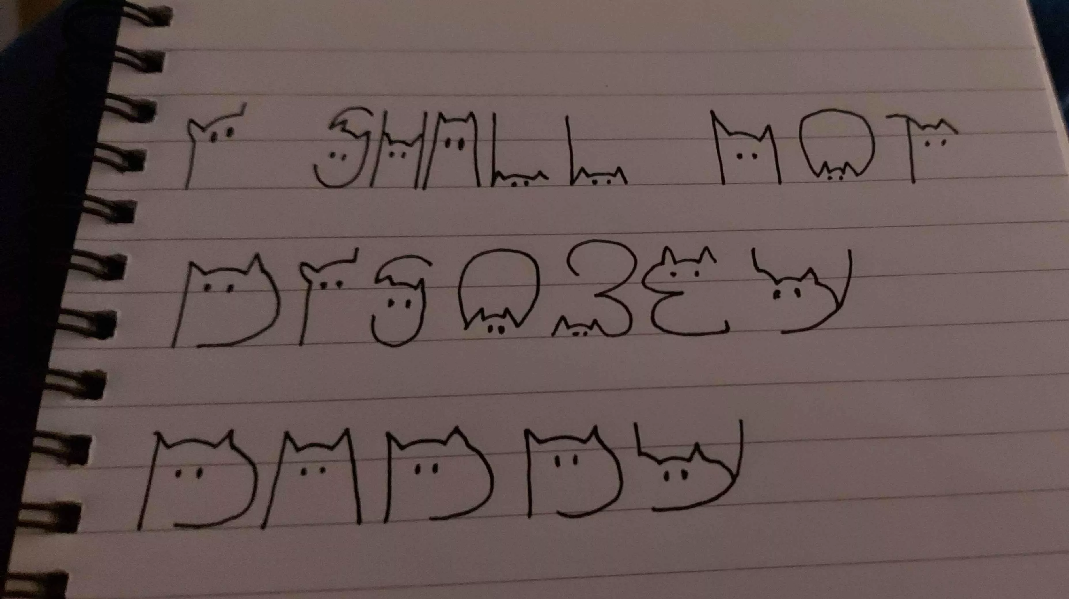 thank you for playing brat