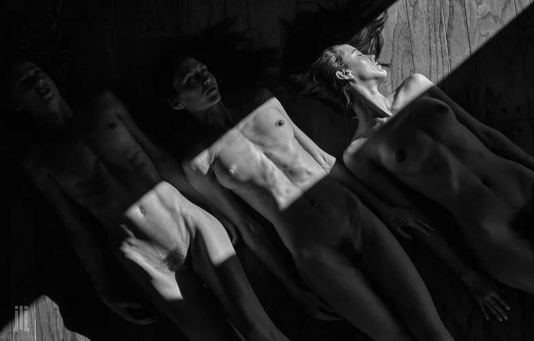 Venuses illuminated, by James Landon Johnson