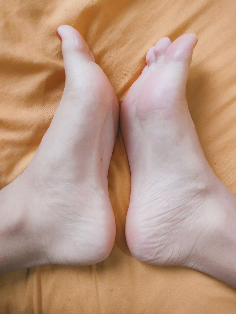 What do you think about sucking my feet?