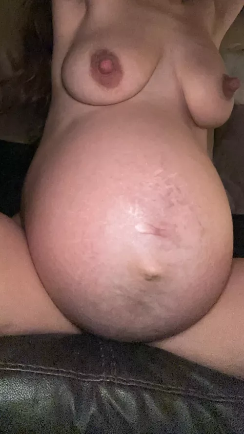 What does my twin pregnant belly make you feel?