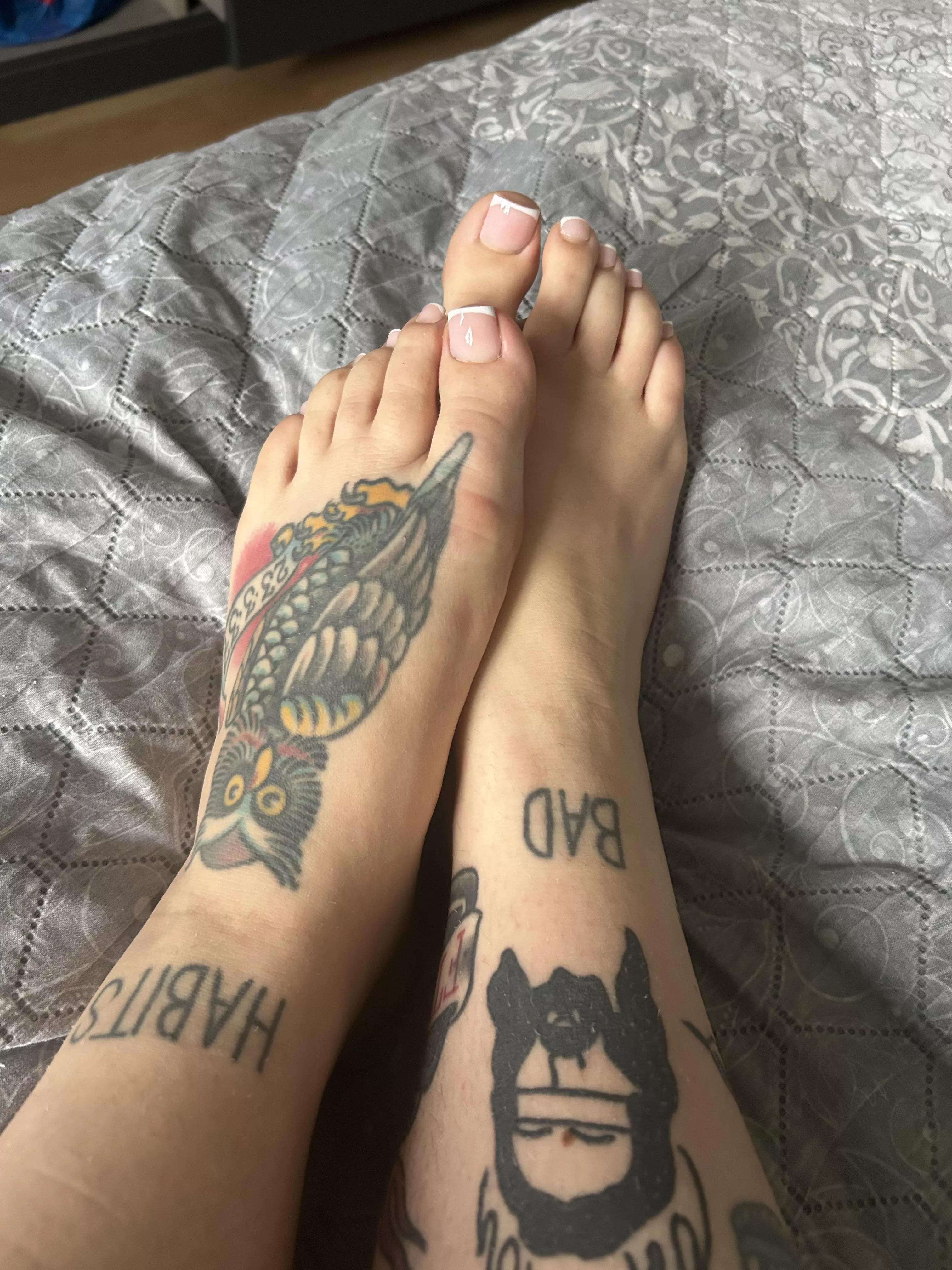 Who wants to lick my feet 😇
