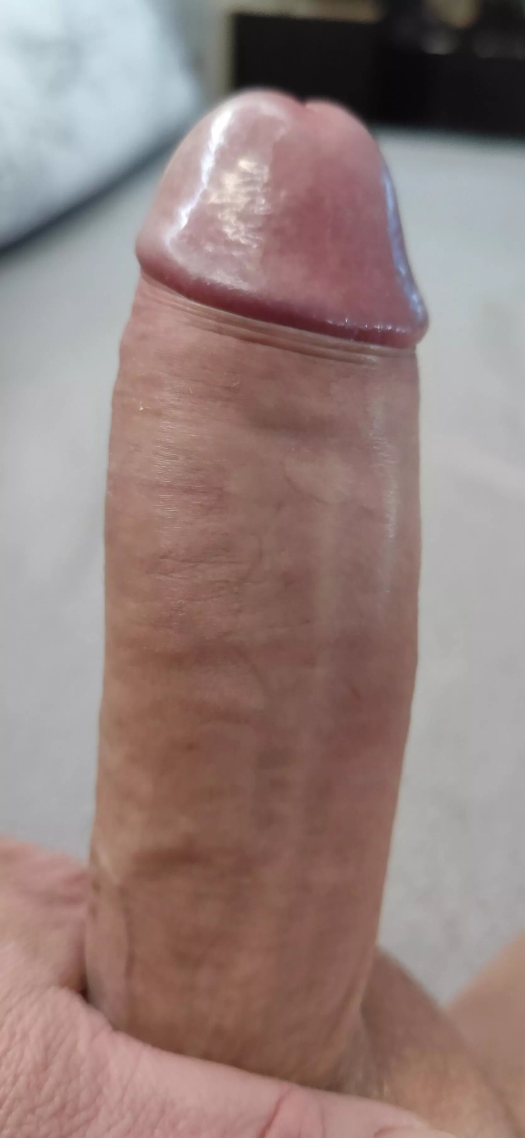 Wie sieht es aus ... Wer setzt sich drauf 😁