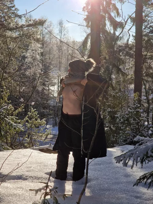 Winter tits in the forest