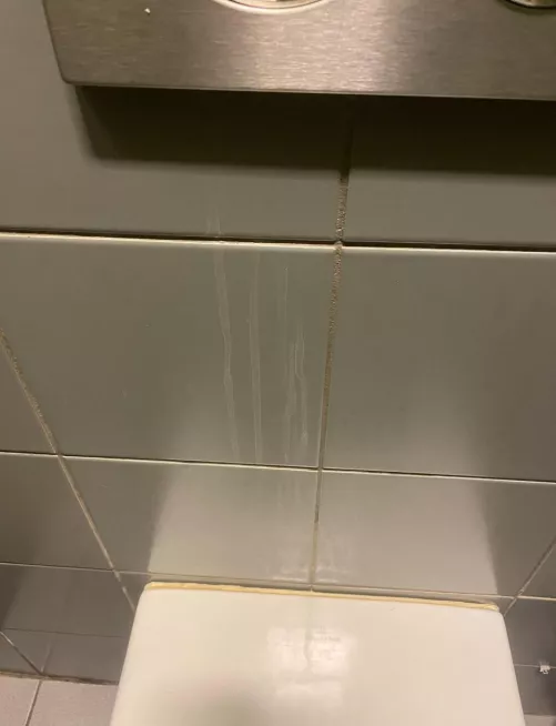 Yall think this is a tag ? (20)