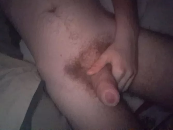 20m Looking for a certain slut who loves being bullied and abused kik helpful121