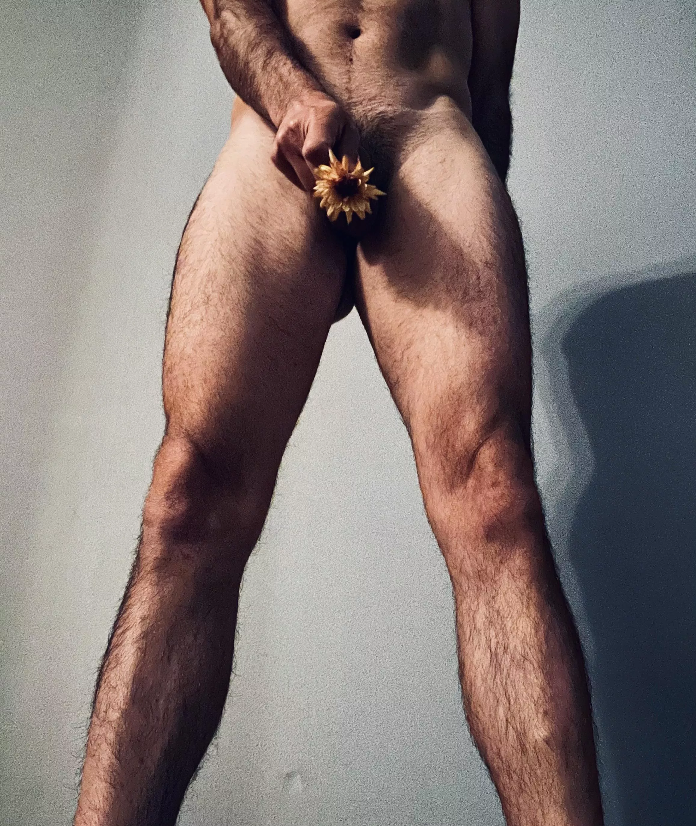 A flower 🌼 for you [wpc]