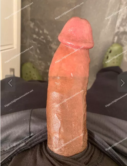 any asian chicks in seattle wanna drain it? 