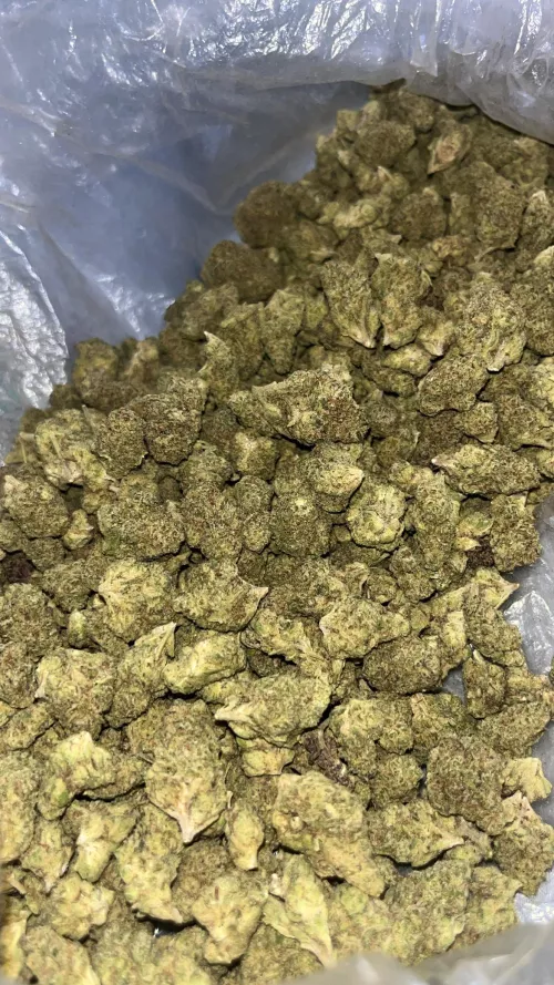 Bay exotic Smokez 🍬 GG41🫠@ superxxl on snap 