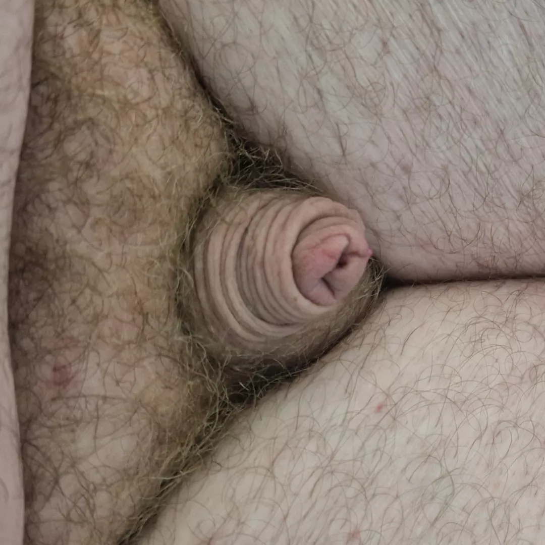 Close up of my tiny dick (39)