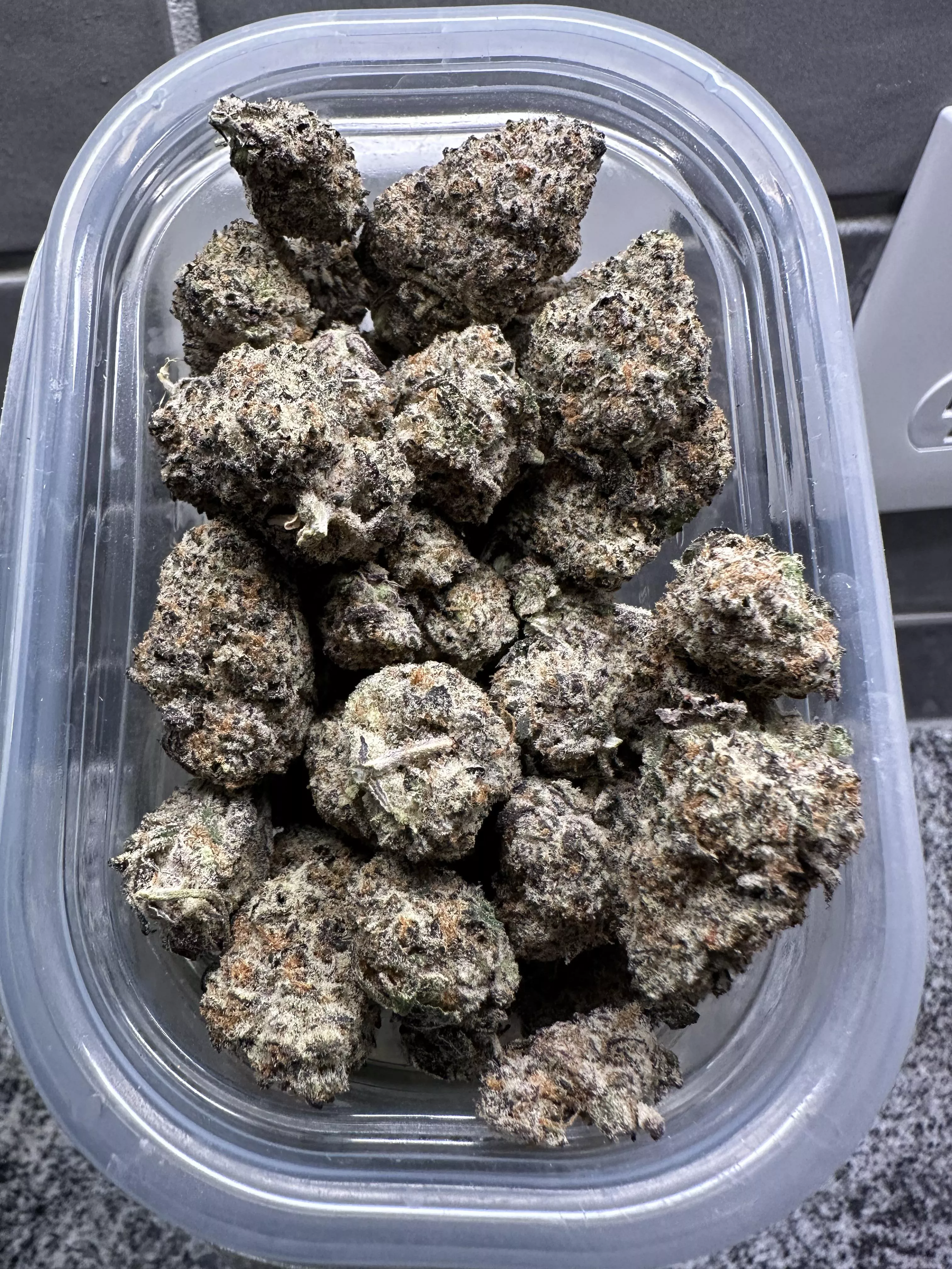 Daily flowers on the North Side of Dallas 🙂‍↔️