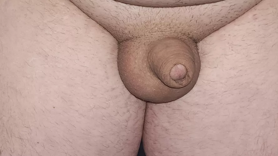 Do you like my small soft young pp?