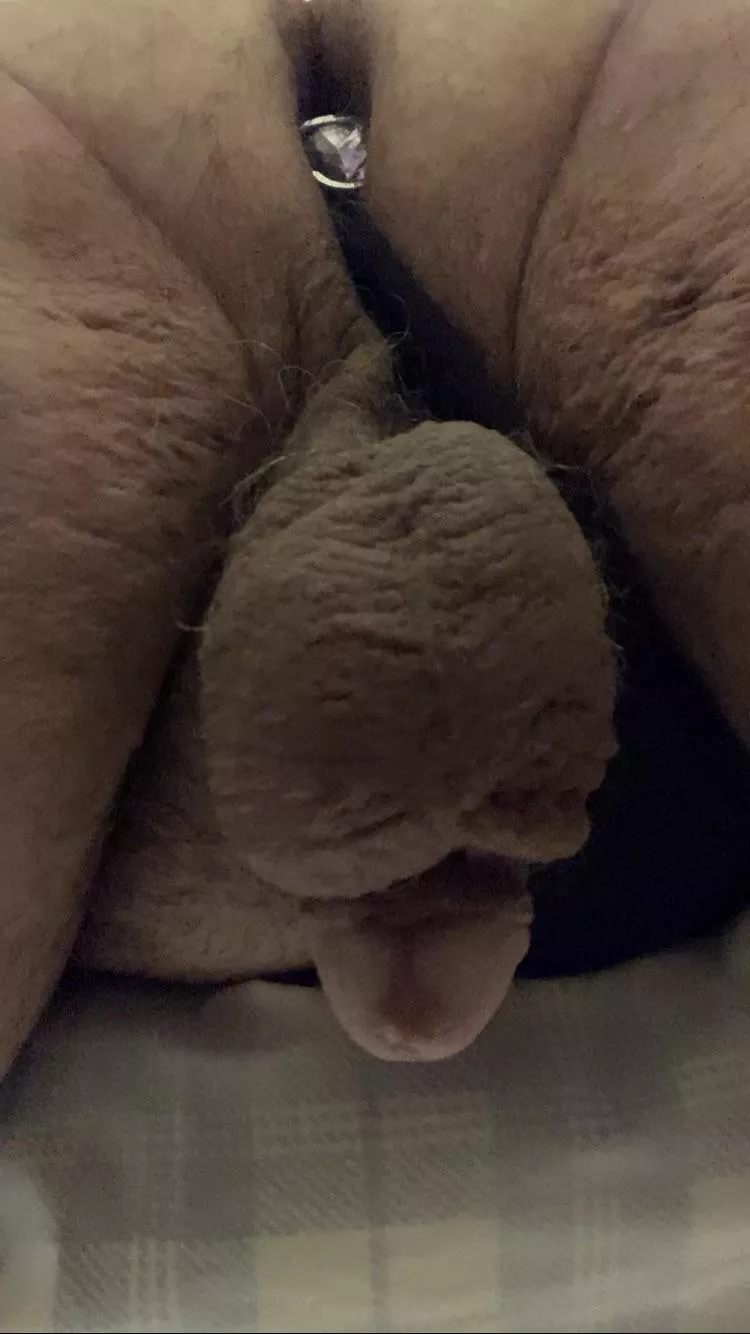 Does anyone like what they see