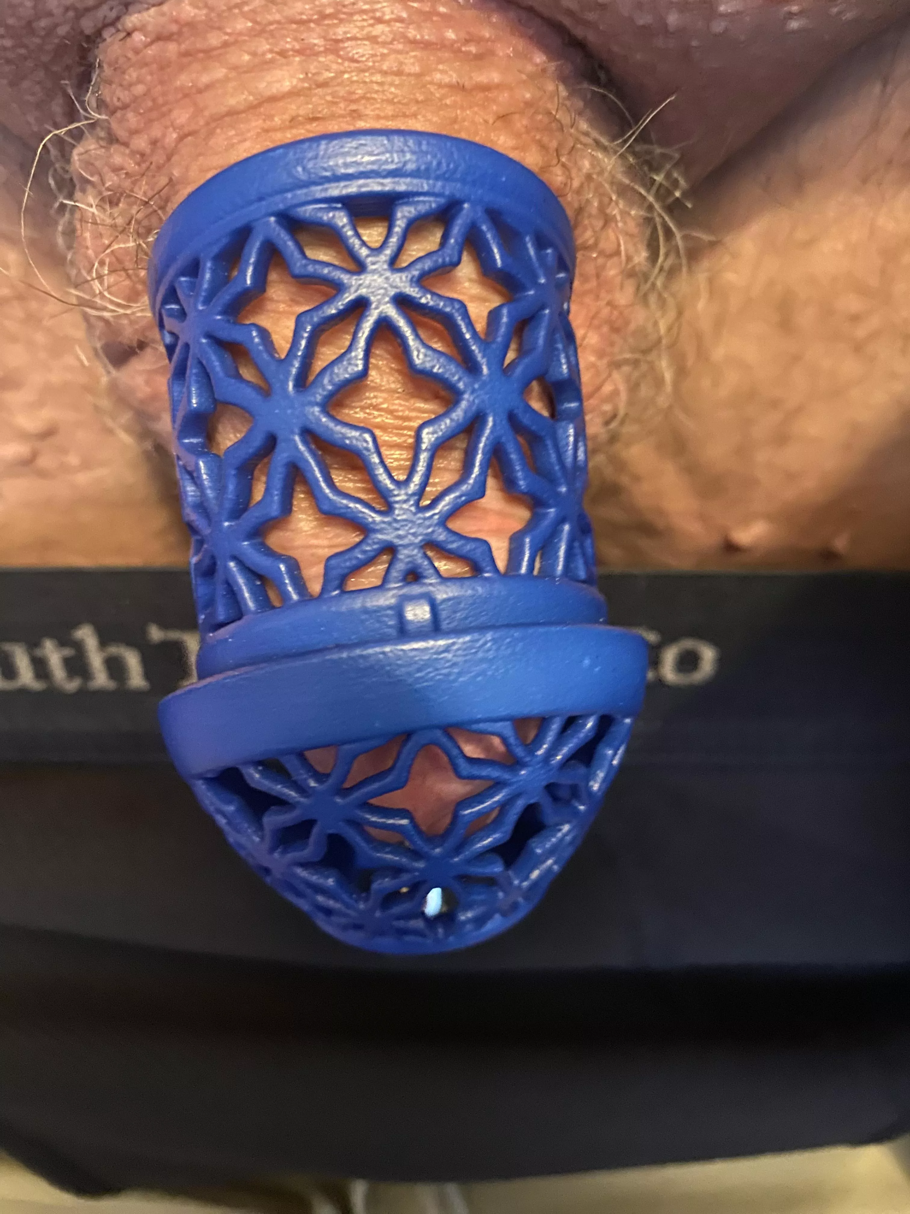 It’s here! (Evotion Bijou)