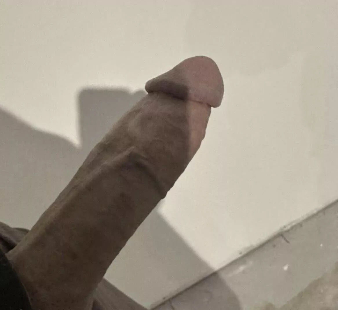 Looking to get sucked. Westmoreland county 