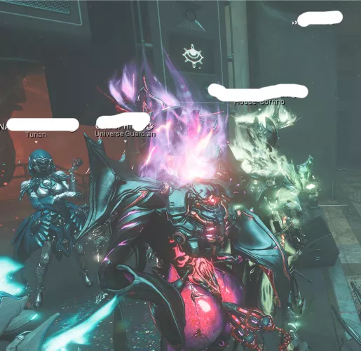 My ember enjoying her plugs 