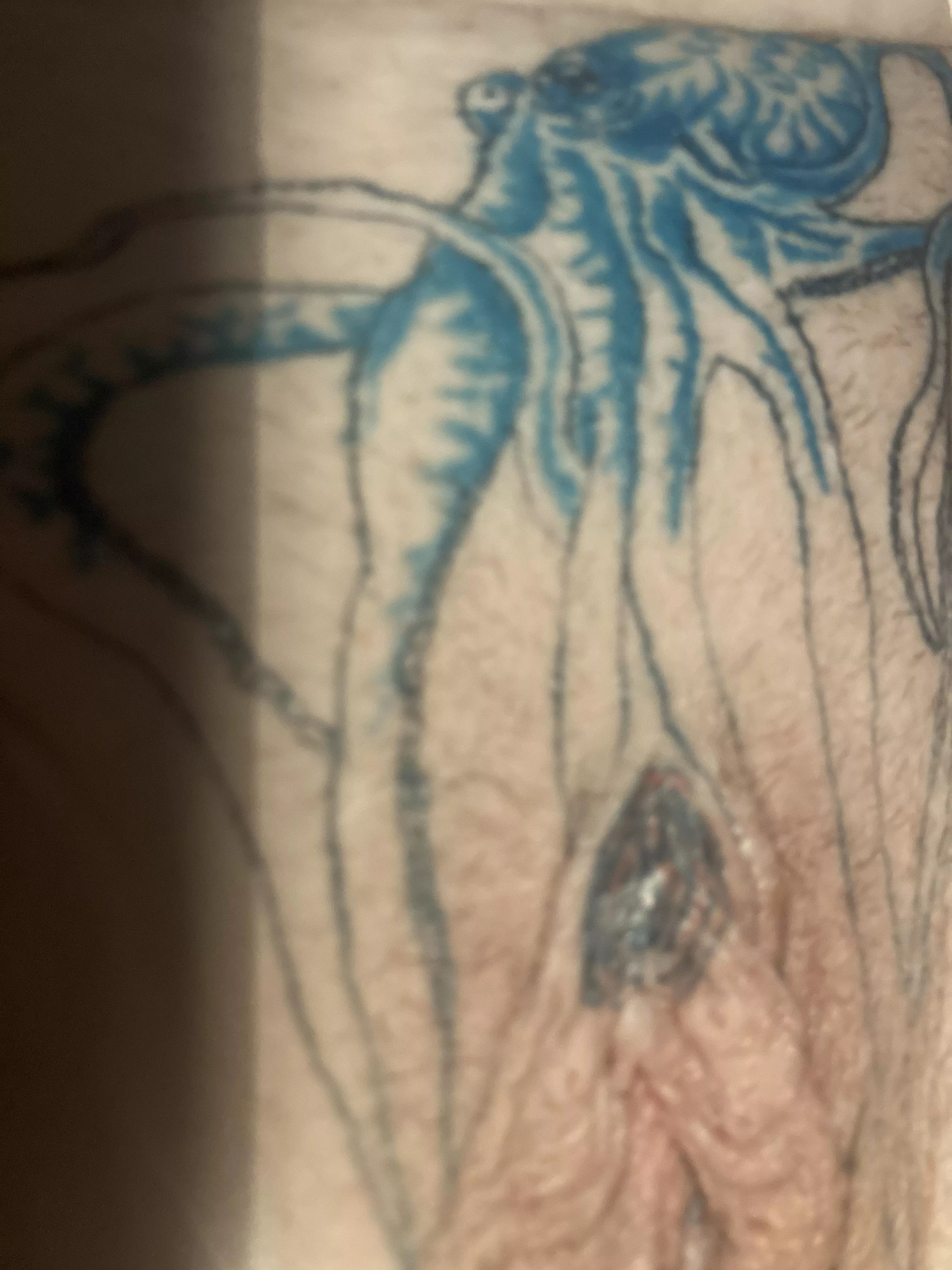 my tattooed pussy octopus some colour in it at the start of 2nd sesion