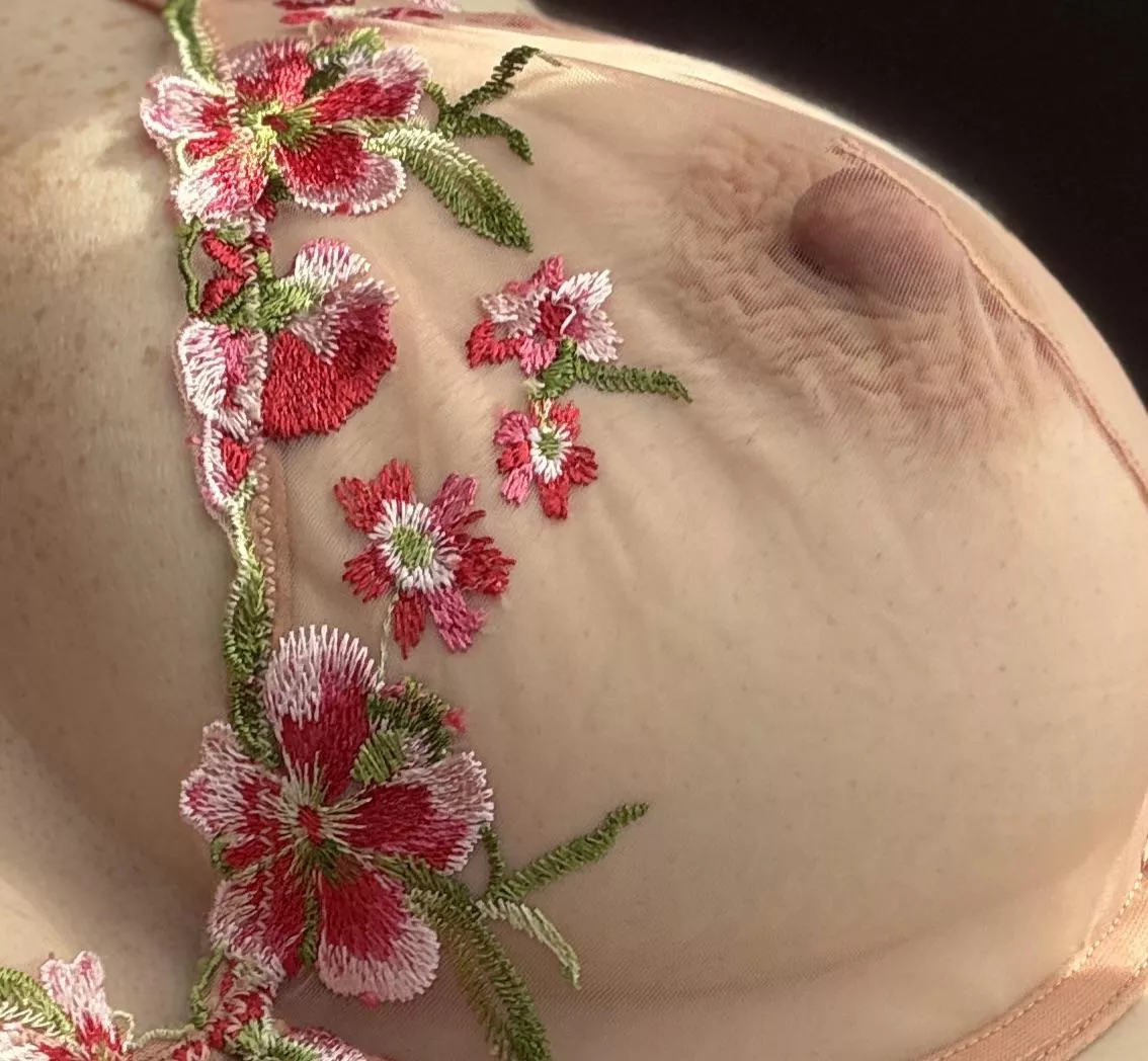 New bra and it shows off my wrinkled nipples