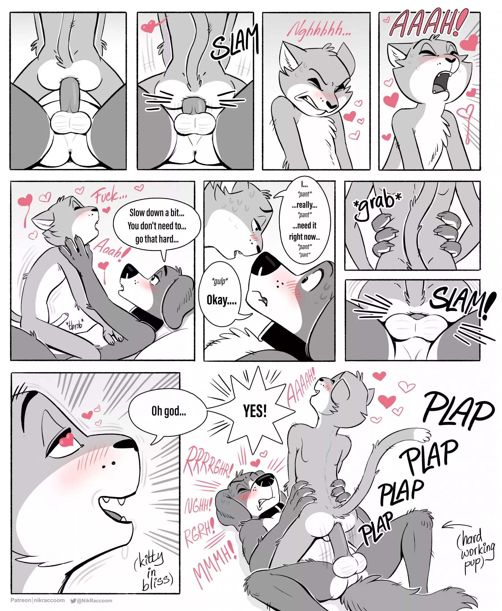 🐶🔥🐱 (nikraccoom) [MM]