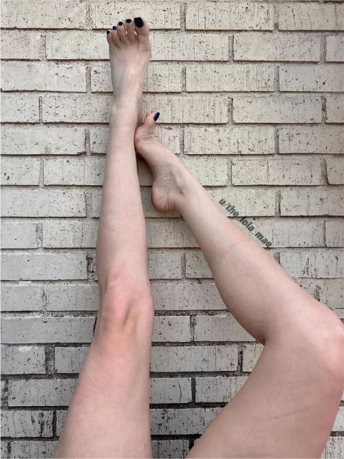 pale skin and high arches❤️ what would you do with them? 