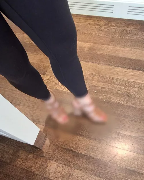 They are beautiful, you'll just have to take my word for it