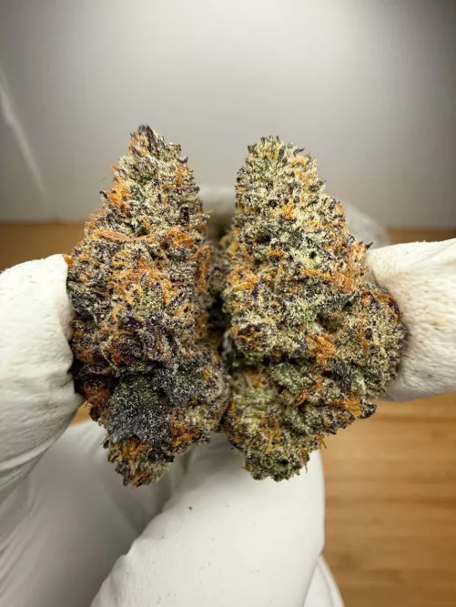 WEEKEND IS HERE (FRISCO) 