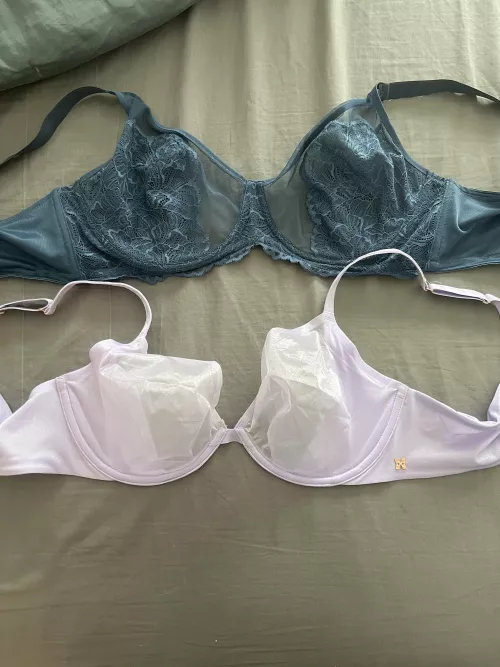 Wife’s 40DD ready for cum 