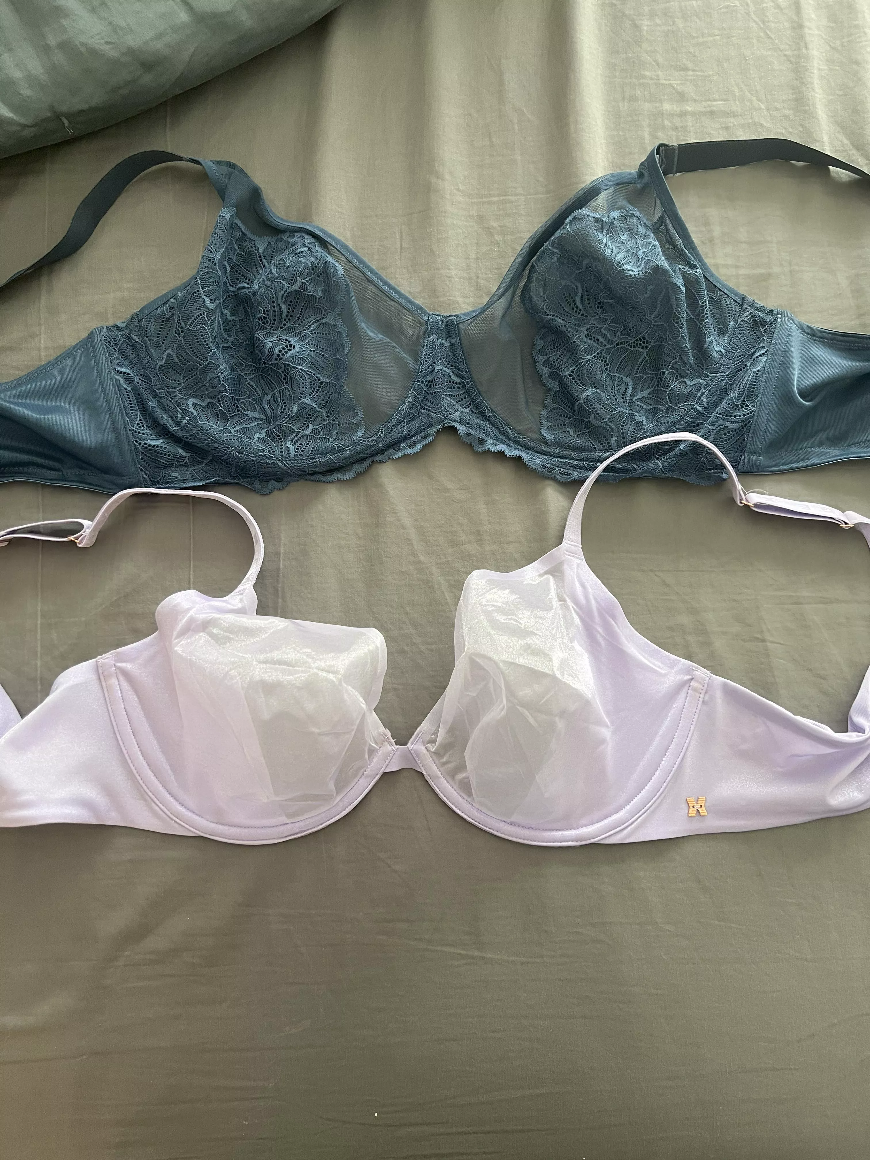 Wife’s 40DD ready for cum 