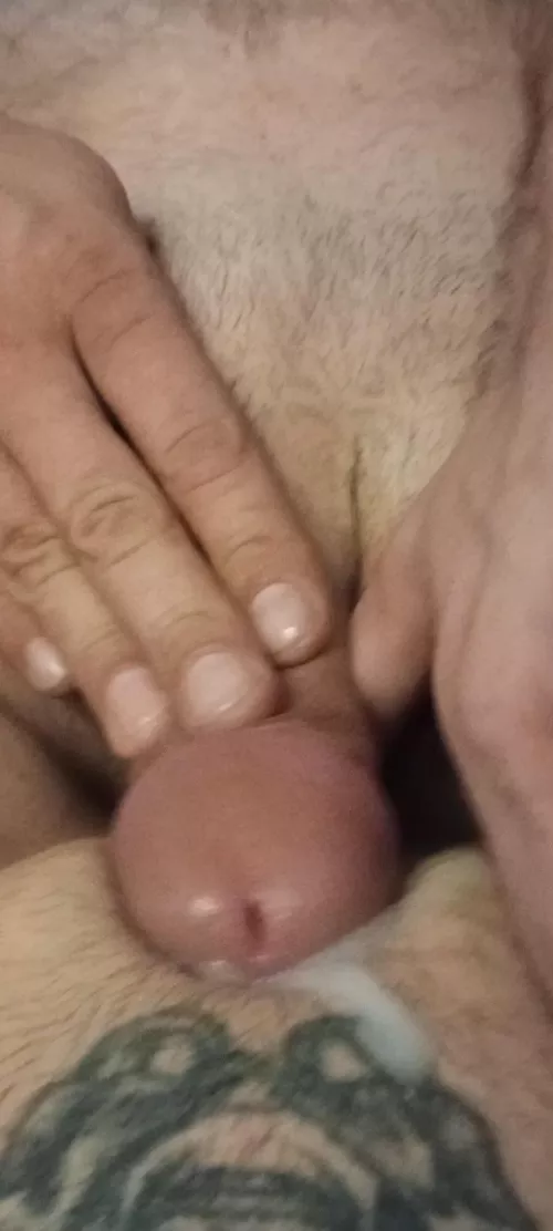 Cum on the wife’s pussy