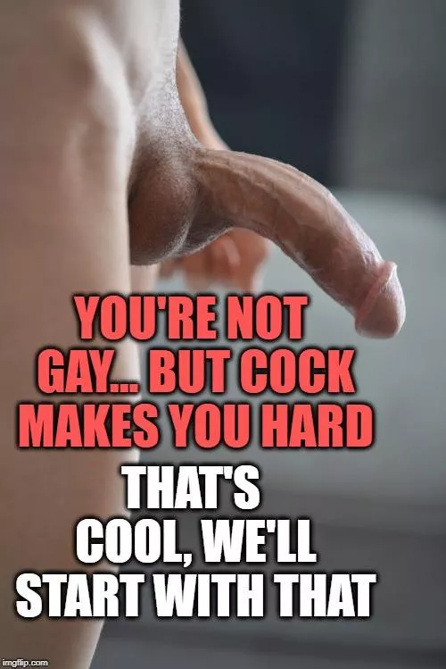 Every Straight man gets hard looking at cock right?