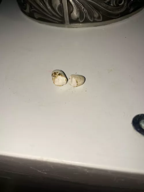 Fant denne inni plata (Euro 2024)